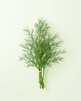 Dill