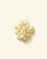 Fennel Seed