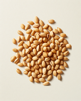 Fenugreek Seed