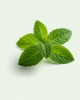 Peppermint