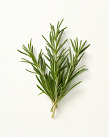 Rosemary