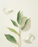 Sage